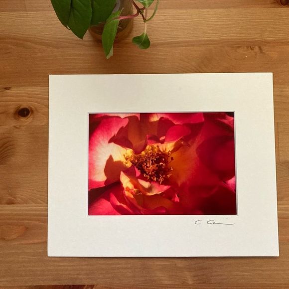 New Original Signed Photography - Picture 2 of 5